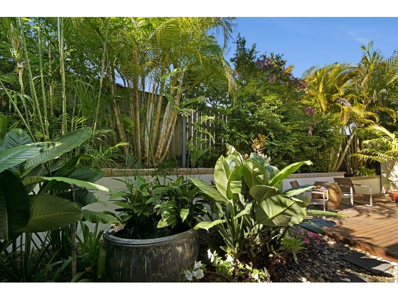 16 Maddens Crescent, Peregian Springs QLD 4573