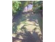 10 Mora Court, Coolum Beach QLD 4573