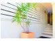 1/3 Goolwa Street, Coolum Beach QLD 4573