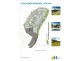 Lot 60, 66 The Avenue, Peregian Springs QLD 4573 Floorplan