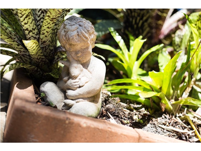 11 Kanimbla Court, Marcoola QLD 4564