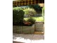 76 Naomi Street, Winston Hills NSW 2153
