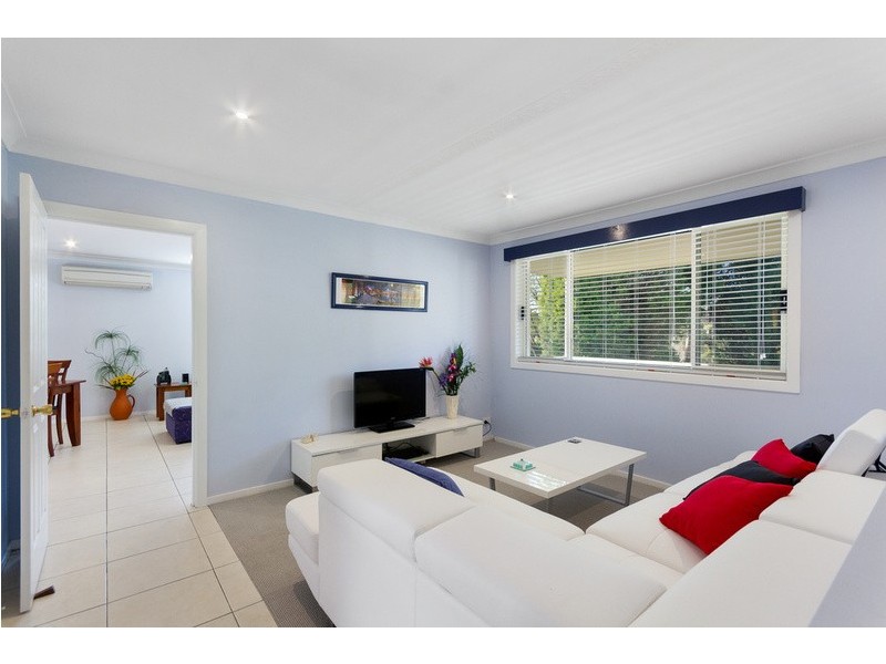 16 Lodge Avenue, Old Toongabbie NSW 2146