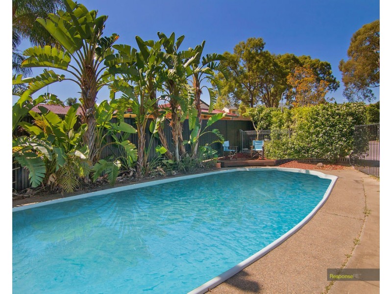 19 Ellis Place, Kings Langley NSW 2147