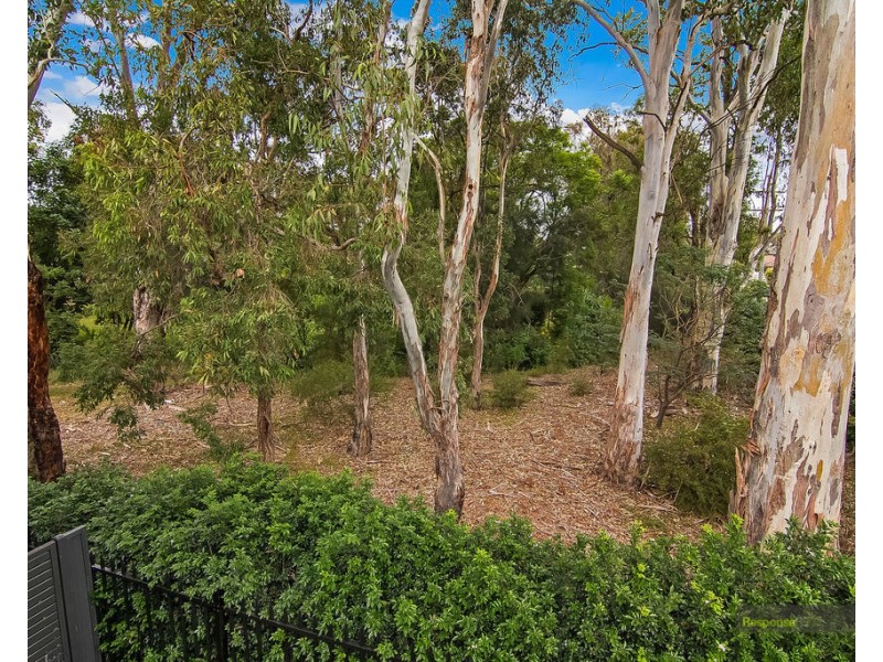 33A Budgeree Road, Toongabbie NSW 2146