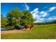 820 Cawdor Road, Cawdor NSW 2570