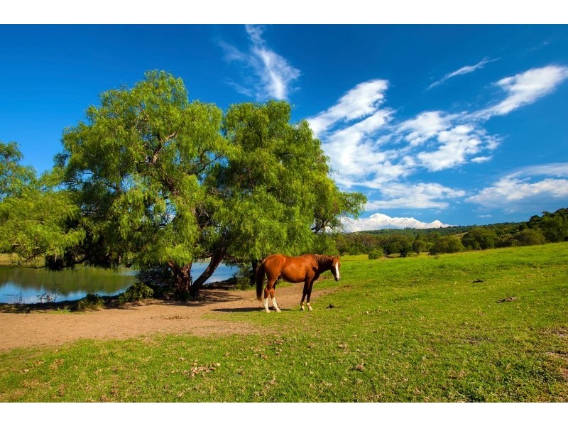 820 Cawdor Road, Cawdor NSW 2570