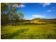 820 Cawdor Road, Cawdor NSW 2570