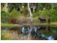 820 Cawdor Road, Cawdor NSW 2570