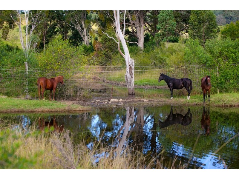 820 Cawdor Road, Cawdor NSW 2570