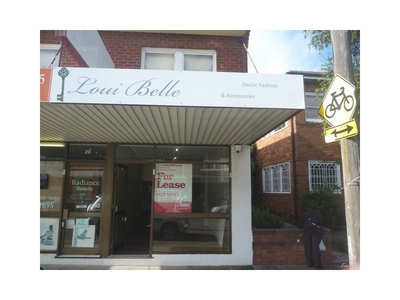 22 The Strand, Penshurst NSW 2222