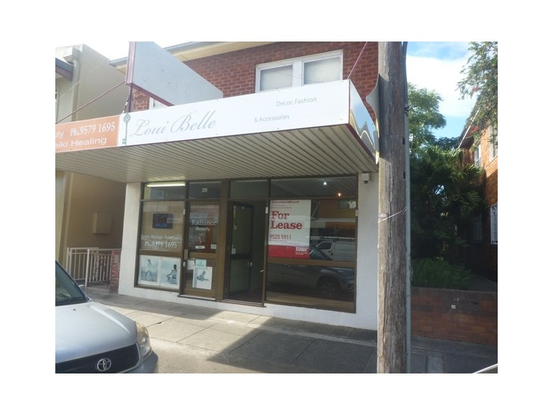 22 The Strand, Penshurst NSW 2222