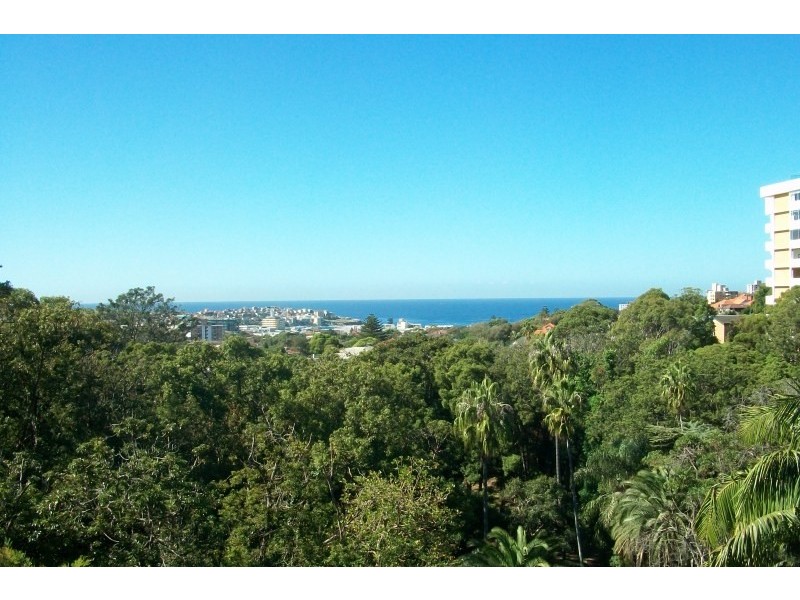 5/2b Penkivil Street, Bondi Junction NSW 2022
