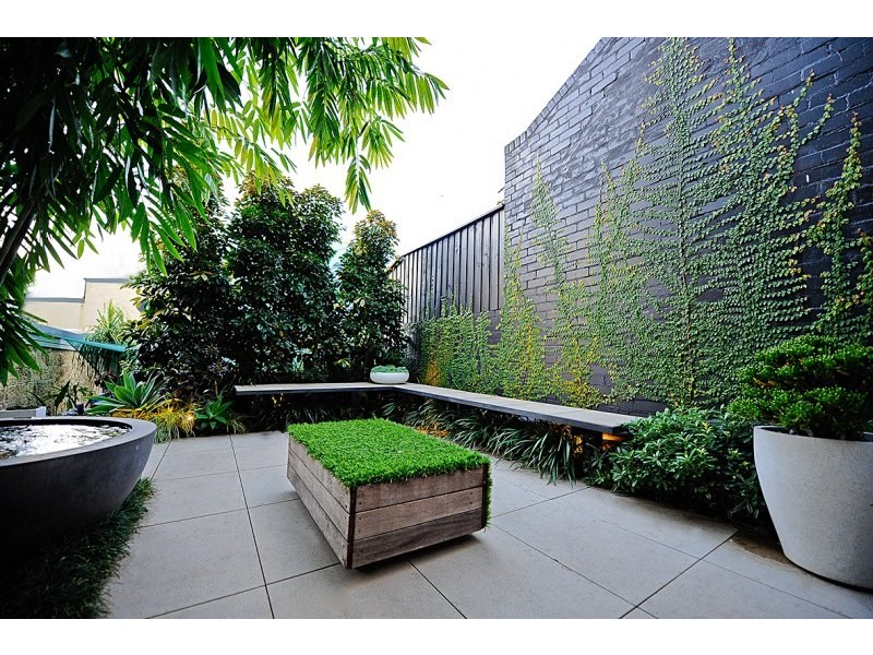 31 Wellington Street, Waterloo NSW 2017