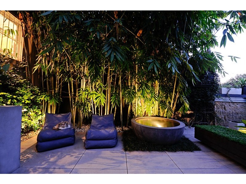 31 Wellington Street, Waterloo NSW 2017