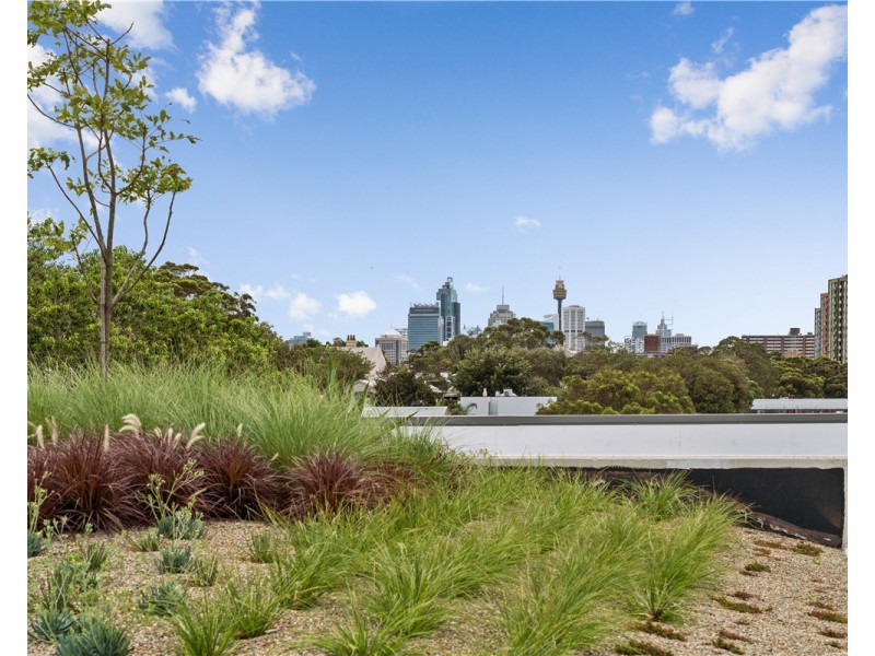 2/10-20 McEvoy Street, Waterloo NSW 2017