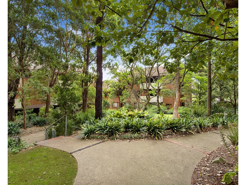 10/215 Bridge Road, Glebe NSW 2037