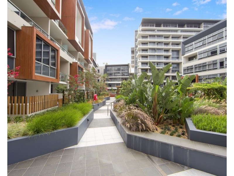 47/6 Archibald Avenue, Waterloo NSW 2017