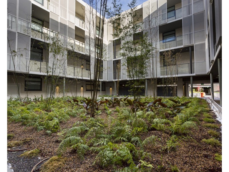 52/767 Botany Road, Rosebery NSW 2018