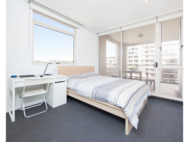 234/11 Potter Street, Waterloo NSW 2017