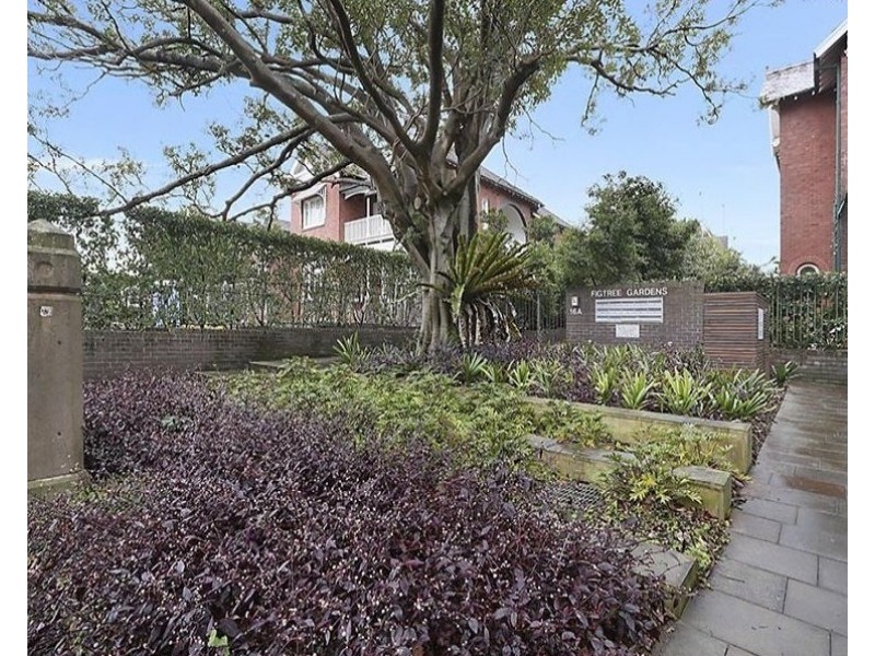 2/16A Frances Street, Randwick NSW 2031