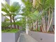 202/2-4 Powell Street, Waterloo NSW 2017