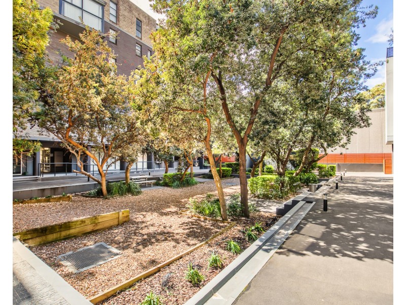 11/52-54 McEvoy Street, Waterloo NSW 2017