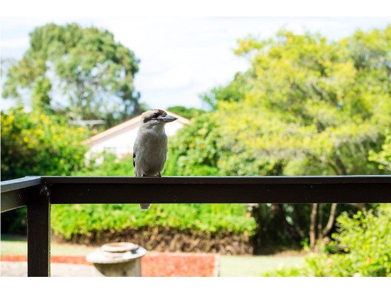 30 First Avenue, Loftus NSW 2232