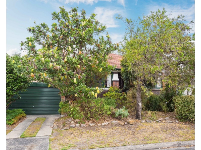 5 Erang Street, Carss Park NSW 2221