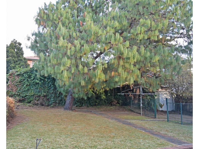 11 Burrell Street, Beverly Hills NSW 2209