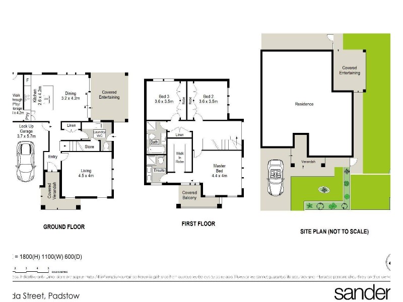 1A Ada Street, Padstow NSW 2211 Floorplan