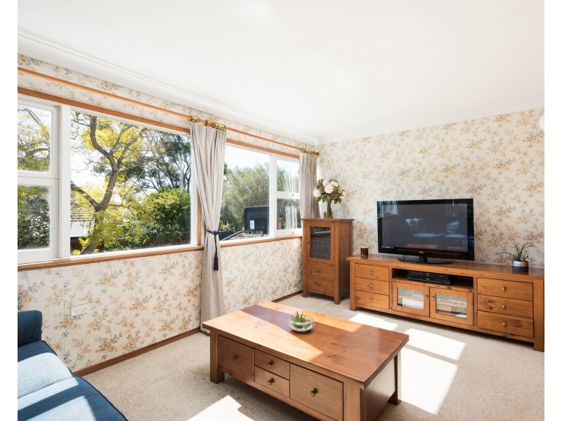 3 Browallia Crescent, Loftus NSW 2232