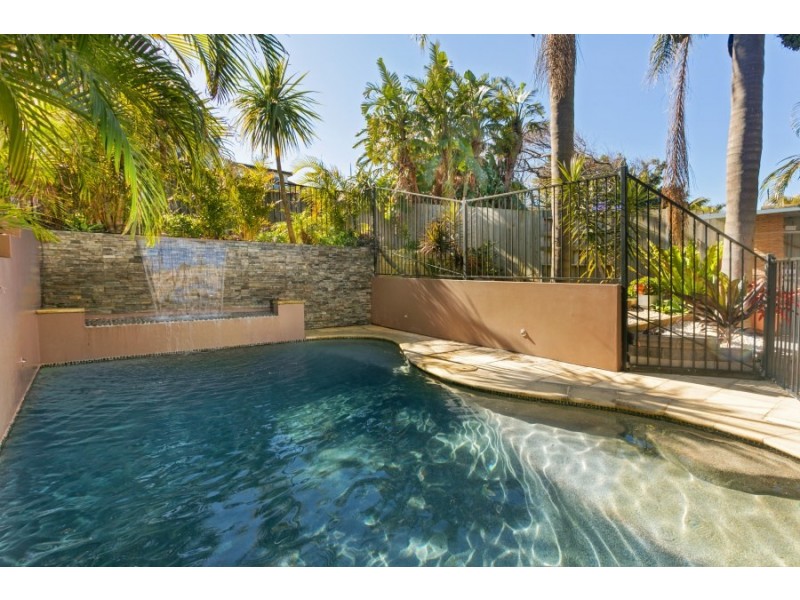 46 Austin Avenue, North Curl Curl NSW 2099