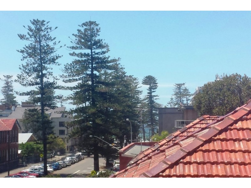 11/8 Victoria Parade, Manly NSW 2095