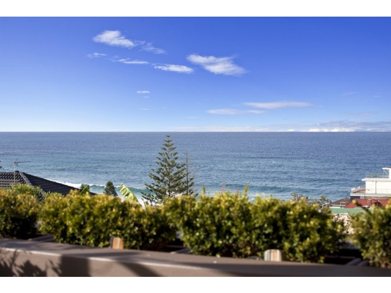 31 Wyndora Avenue, Freshwater NSW 2096