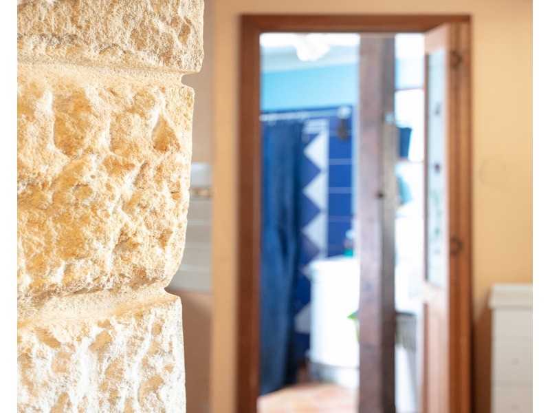 50 Undercliff Road, Freshwater NSW 2096