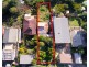 7 Curl Curl Parade, Curl Curl NSW 2096