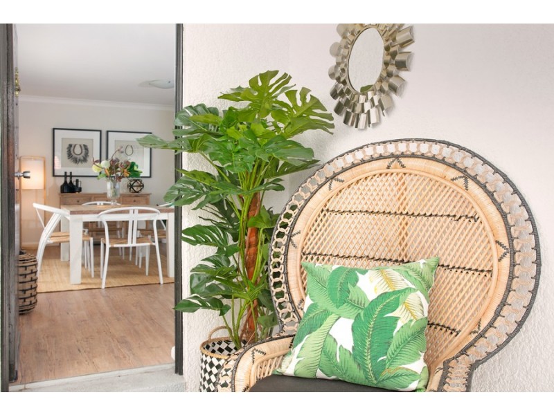 115 Pittwater Road, Manly NSW 2095