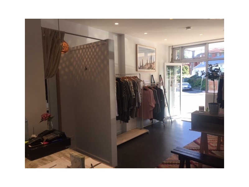 67 Albert Street, Freshwater NSW 2096