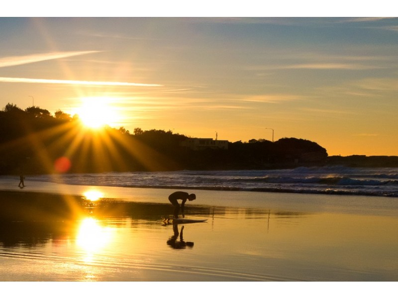 3/2 The Drive, Freshwater NSW 2096