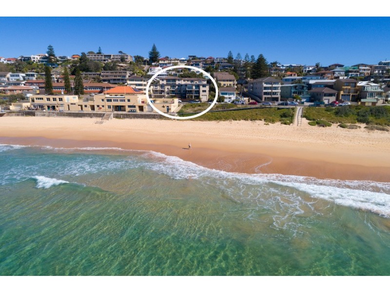 8/52 Carrington Parade, Curl Curl NSW 2096