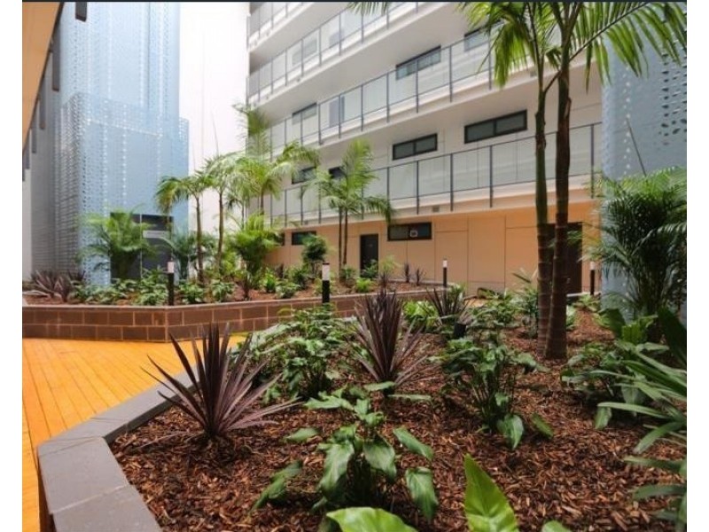 113/23-29 Pacific Parade Parade, Dee Why NSW 2099