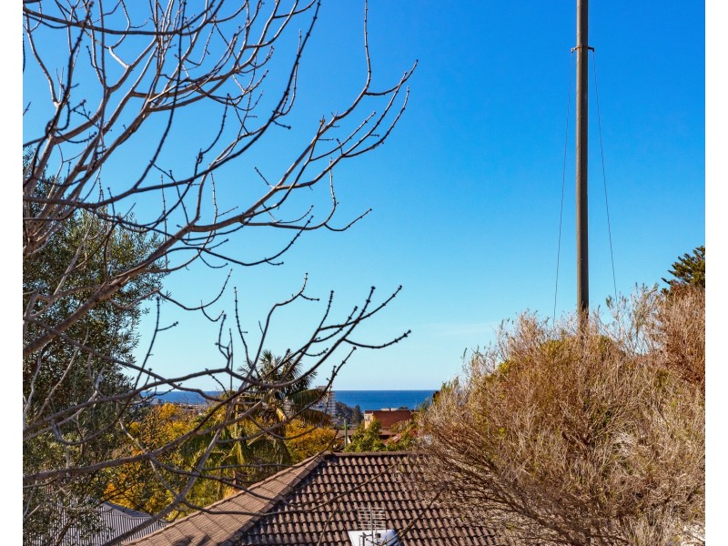 83 Harbord Road, Freshwater NSW 2096