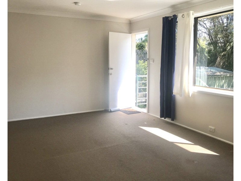 33a Old Pittwater Road, Brookvale NSW 2100