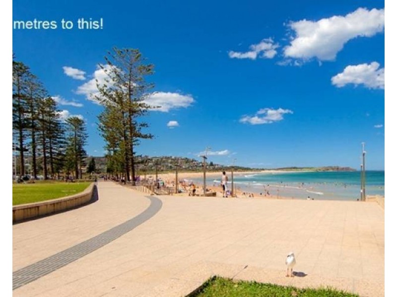 10/91 Pacific Parade, Dee Why NSW 2099