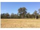 Logan Village QLD 4207