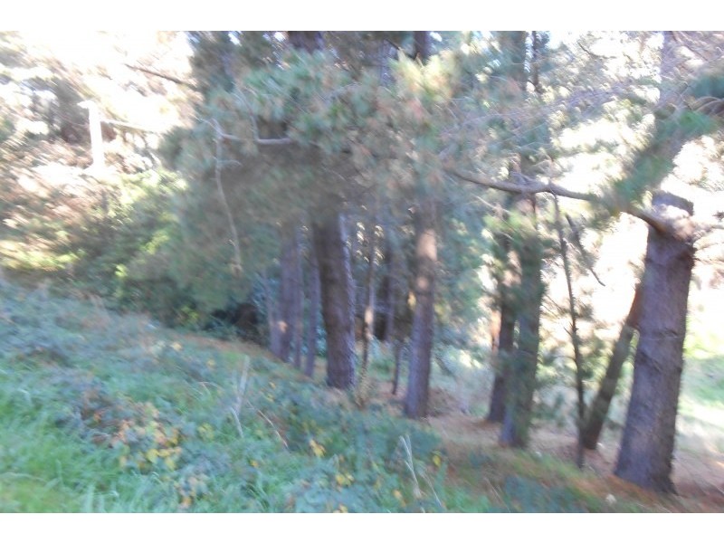 17 Fern Road, Crafers West SA 5152