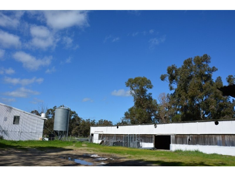 83 Furnissdale Road, Furnissdale WA 6209
