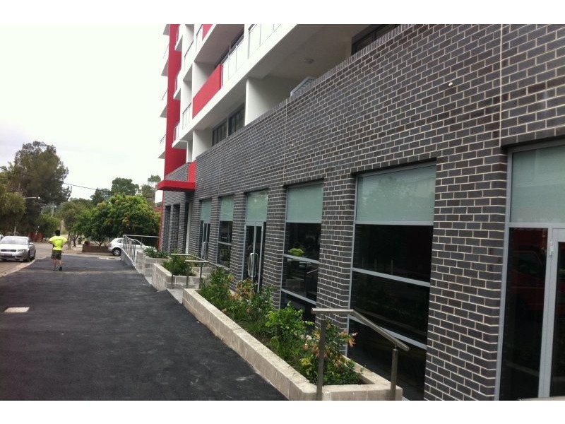 48 Cooper Street, Strathfield NSW 2135