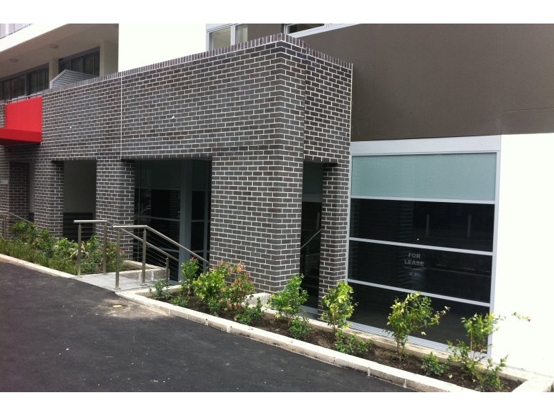 48 Cooper Street, Strathfield NSW 2135